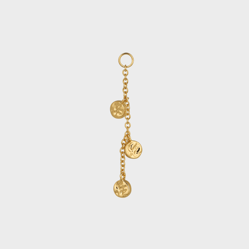 Coin Charm