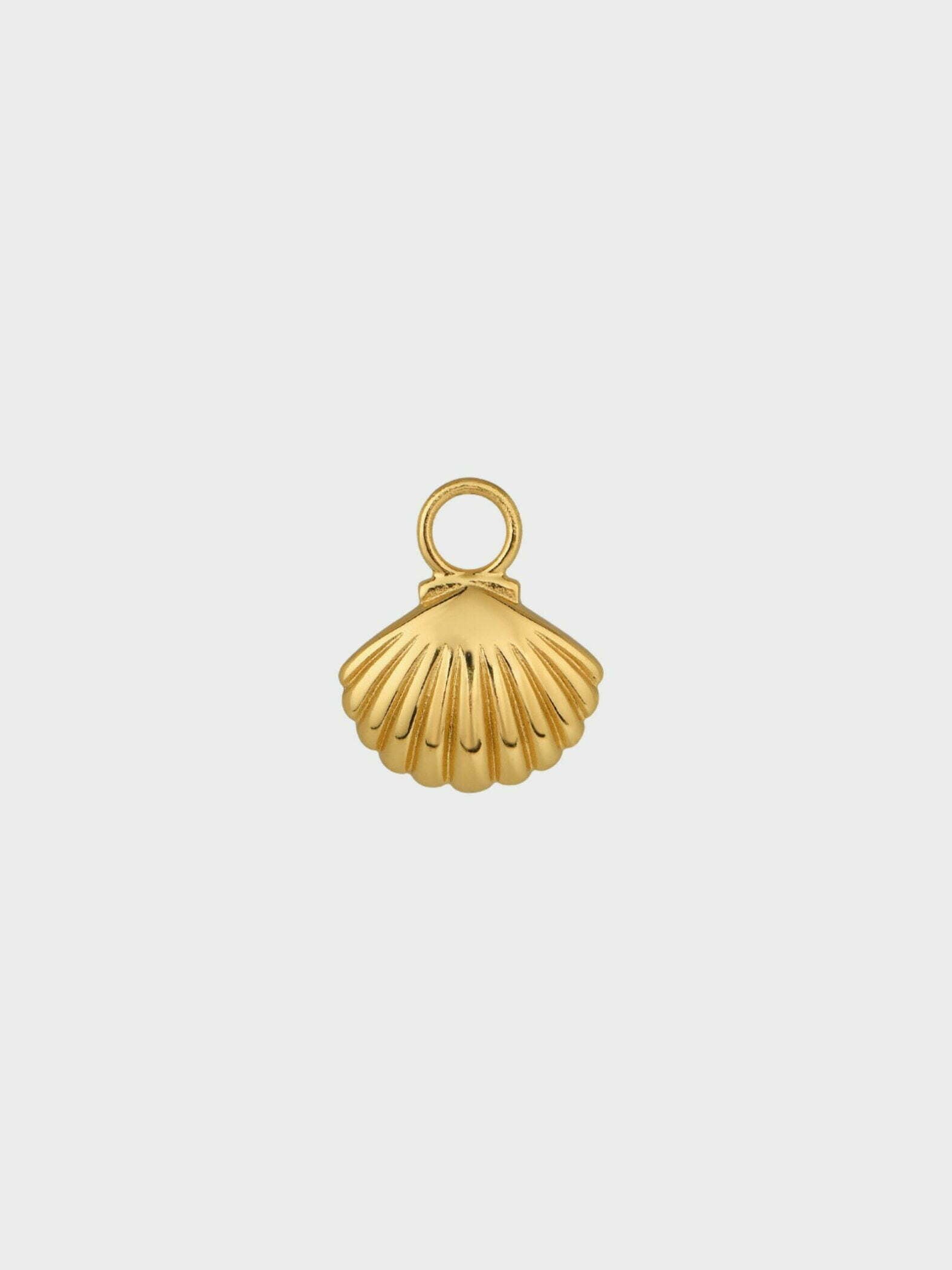 Shell Charm